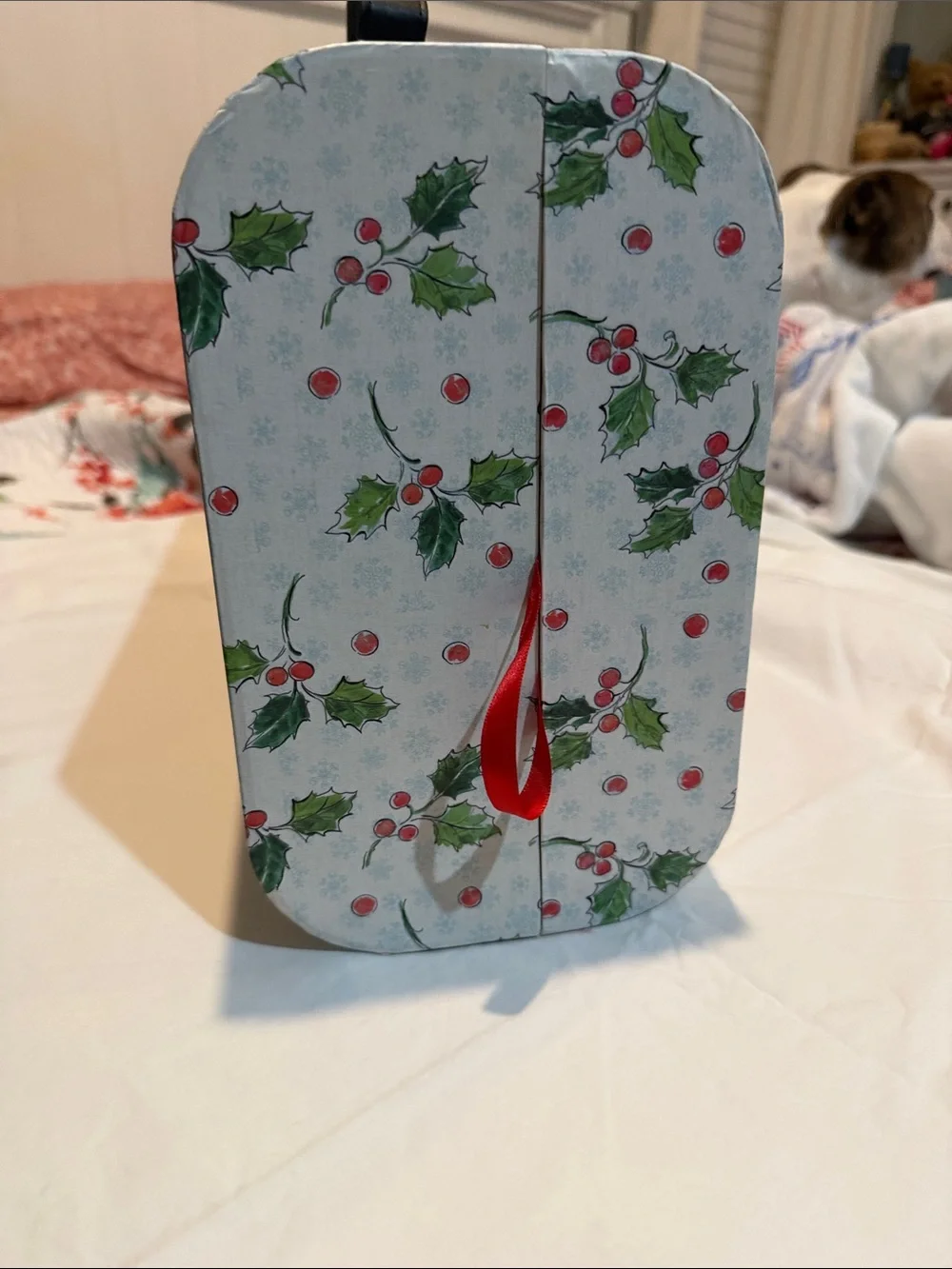 Holiday Camper Decorative Storage Box - Red & Green